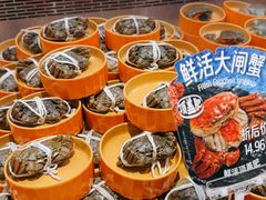 -海底捞大排档火锅(打浦路店)