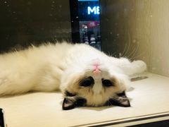 -乐宠宠物店(世纪金源店)