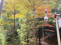 -广州市帽峰山景区