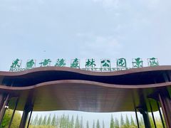 -黄海国家森林公园