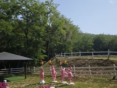 -大连铭湖国际观光牧场