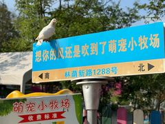 -上海佘山世茂艾美酒店