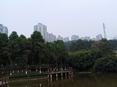 -龙头寺公园
