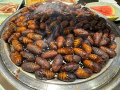 -悟烧·自助烤肉料理(秋林旗舰店)