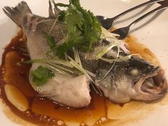 清蒸石斑-绿茶餐厅万锦 Green Tea Restaurant Markham