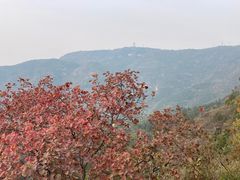 -北京十三陵国家森林公园蟒山景区