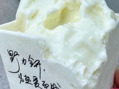 -野人先生现做冰淇淋(北京悠唐购物中心店)