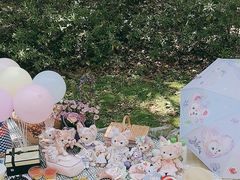 -上海共青森林公园