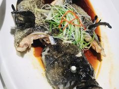 -鱼乐轩(珠江路店)