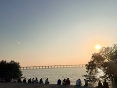 -宝安西湾红树林湿地公园