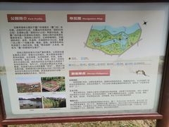 -五缘湾湿地公园