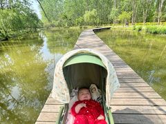 -合肥滨湖国家森林公园