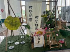 -荷花荡