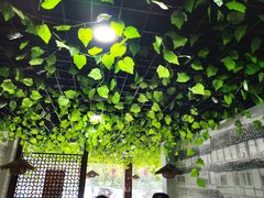 -三里屯土灶炖公鸡地锅鸡(江东店)