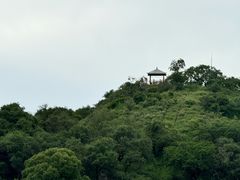 -大青沟风景区