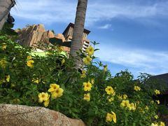 -亚马逊丛林水乐园