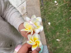 -海口喜来登酒店