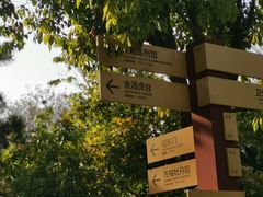 -合肥三国新城遗址公园