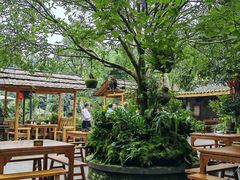 -青城甲(青城山店)