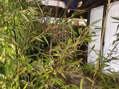 -山壹竹庭院餐厅