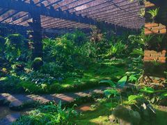 -深圳仙湖植物园
