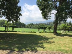 -福建鲤鱼洲酒店