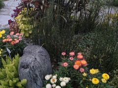 -东莞植物园