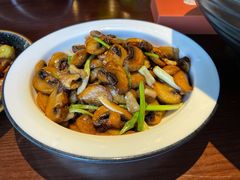 小炒口蘑-成都娃娃花园餐厅 (南艺旗舰店)