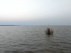 -洞里萨湖