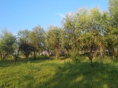-飞天山旅游区