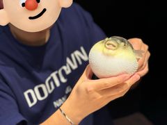 -永安鱼庄·镇江菜(东吴路店)