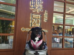 -蝶园·装修中(BFC外滩金融中心店)