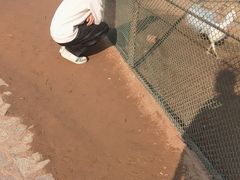 -秦皇岛野生动物园