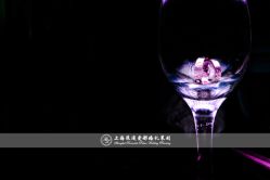 -上海浦东喜来登由由大酒店·宴会厅