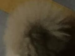 -中粮·祥云小镇