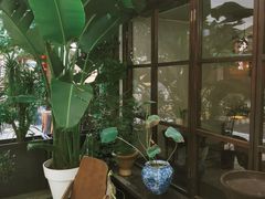 -concerto协奏曲咖啡店