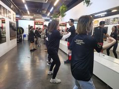 -温鉴良实用咏春拳