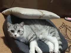 -荔康动物医院(康王北路店)