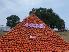 -上海月湖雕塑公园