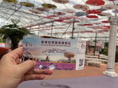 -广东花都香草世界旅游度假区