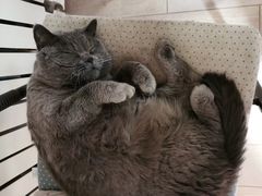 -Rabbit Cafe私房西餐甜点咖啡(栖霞路店)