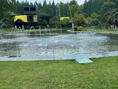 -黄海国家森林公园