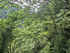 -西岭雪山大飞水景区