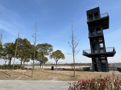 -春花秋色城市公园