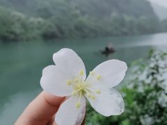 -东江湖旅游区