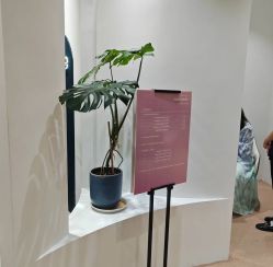 -KeCare科颜精准护肤