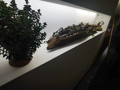 -茉莉花空中花园餐厅(义乌店)