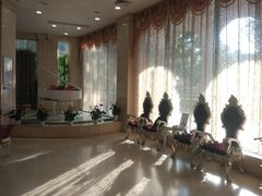 -伊丽莎白妇科医院·早孕检查