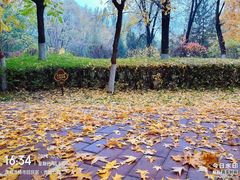 -青城公园