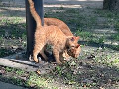 -徐家汇源景区-衡山公园